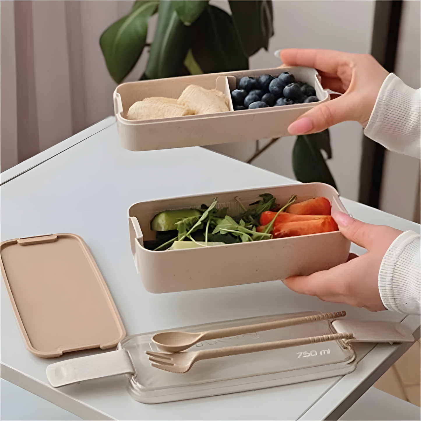 Luncbox Mini